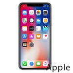 Ремонт iPhone X(10) в Челябинске